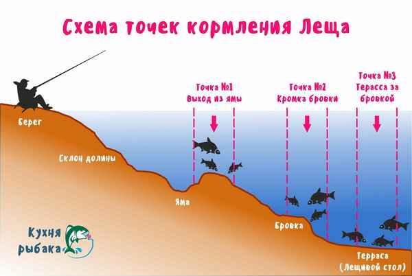 Как правильно ловить леща в августе