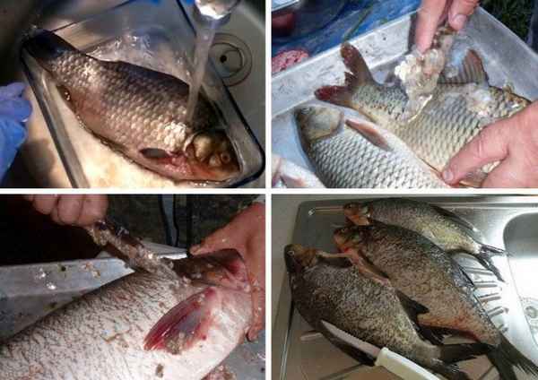 Как правильно чистить леща от чешуи