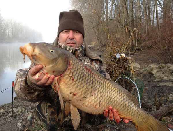 Рыбалка на сазана осенью