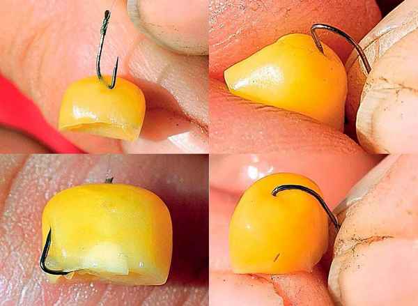 Кукуруза при ловле карася: как насадить на крючок