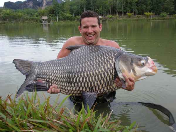 Какой самый большой пойманный в мире и в России карась