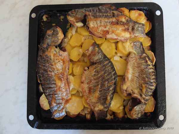Как приготовить карася в духовке с картошкой