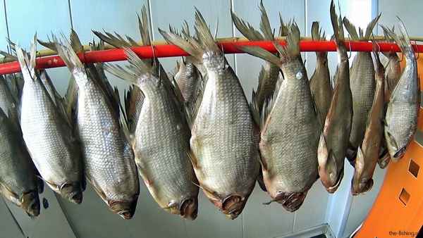 Как вялить леща в домашних условиях