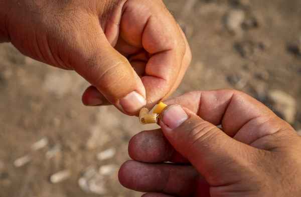 Особенности ловли леща на макароны