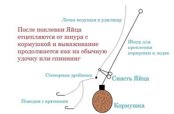 Как поймать леща на яйца