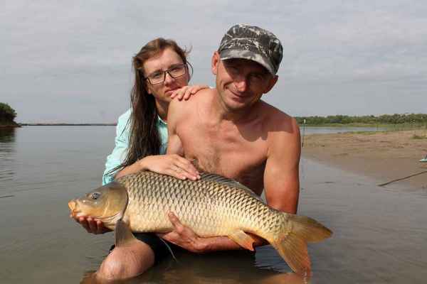 Как ловить сазана на Волге