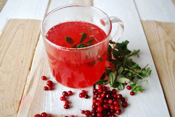 Похудение с помощью брусники: листья и ягоды, как приготовить