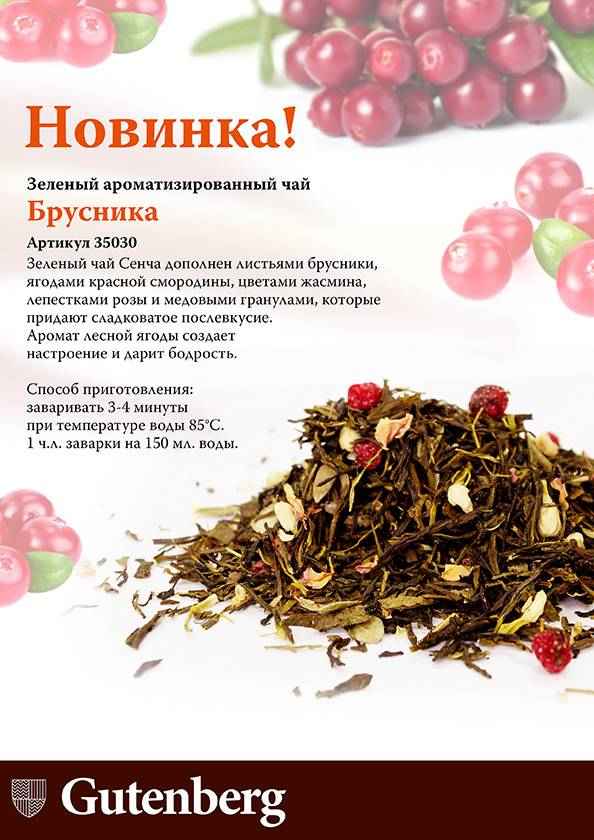 Лечебные свойства и польза брусничного чая, побочные эффекты, приготовление