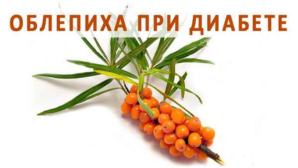 Облепиха при сахарном диабете