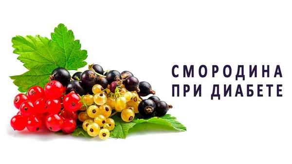 Смородина для людей с сахарным диабетом: польза или вред