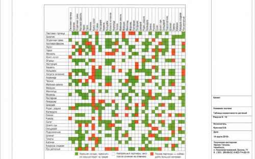 С чем уживается и с чем несовместима ежевика на участке