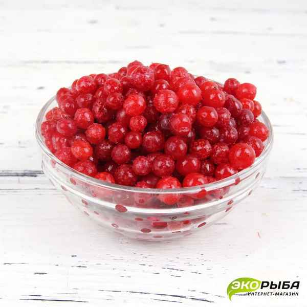 Замороженная калина