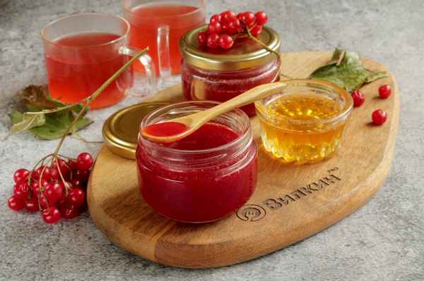 Рецепт калины с мёдом на зиму