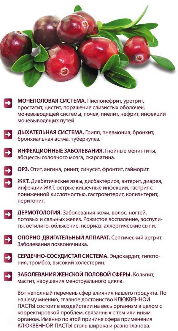 Польза и вред клюквы для женщин