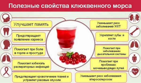 Польза и вред применения клюквенного морса