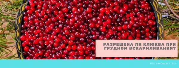 Польза или вред клюквы при грудном вскармливании