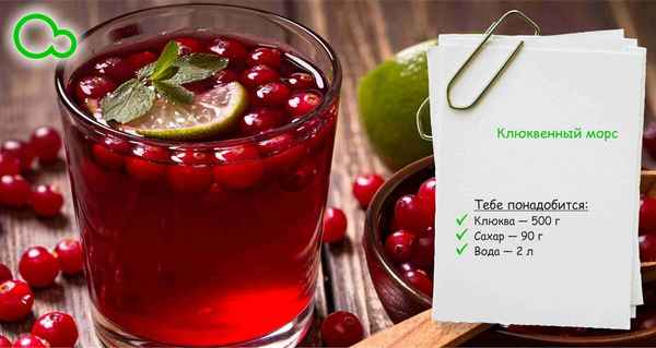 Как с пользой приготовить клюквенный морс для беременной?