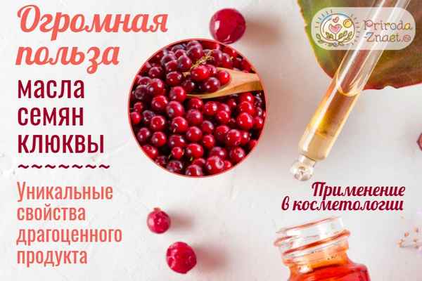 Польза и применение масла семян клюквы