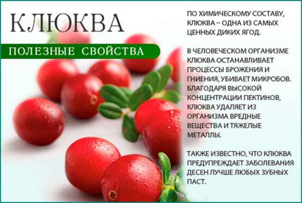 Лечение цистита клюквой: как принимать, приготовление