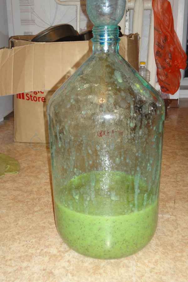 Как сделать домашнее вино из крыжовника: лучшие рецепты