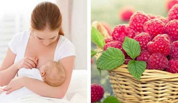 Можно ли малину кормящей маме