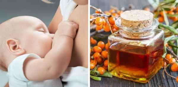 Польза и вред облепихи при грудном кормлении ребёнка