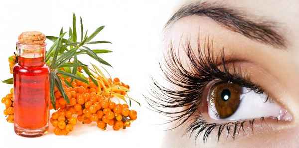 Применение облепихового масла для ресниц и бровей