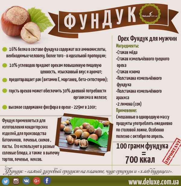 Польза и вред фундука