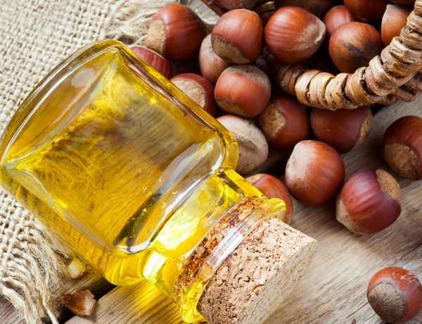 Польза и вред масла фундука и как его применять в кулинарии и медицине