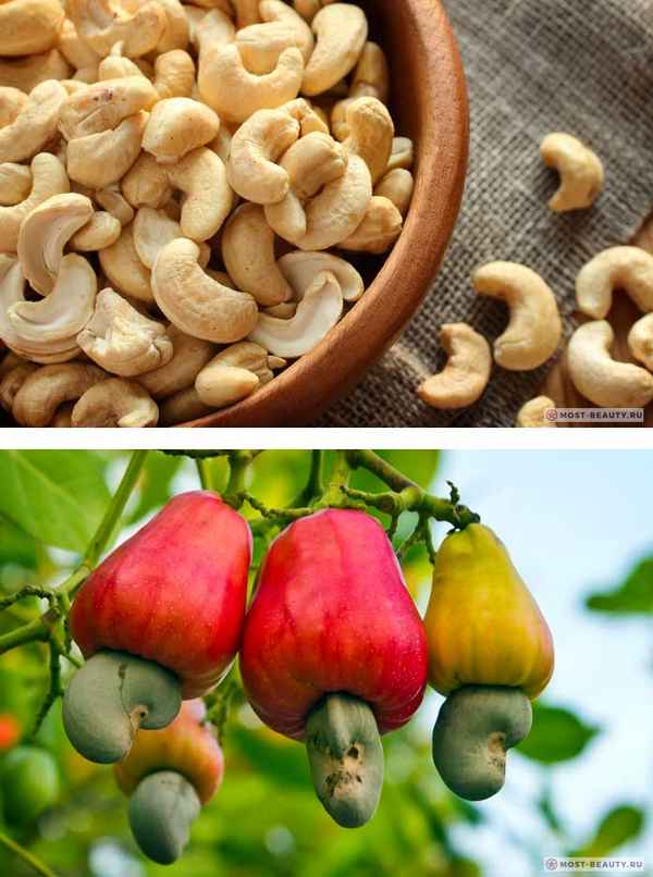 Полезные свойства и противопоказания ореха кешью, применение в медицине