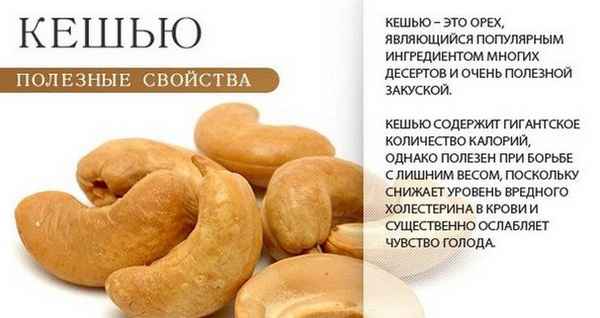 Польза и вред кешью для организма мужчины