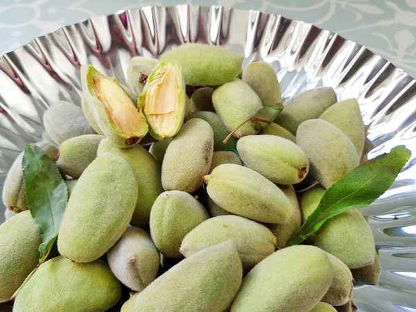 Неспелый миндаль