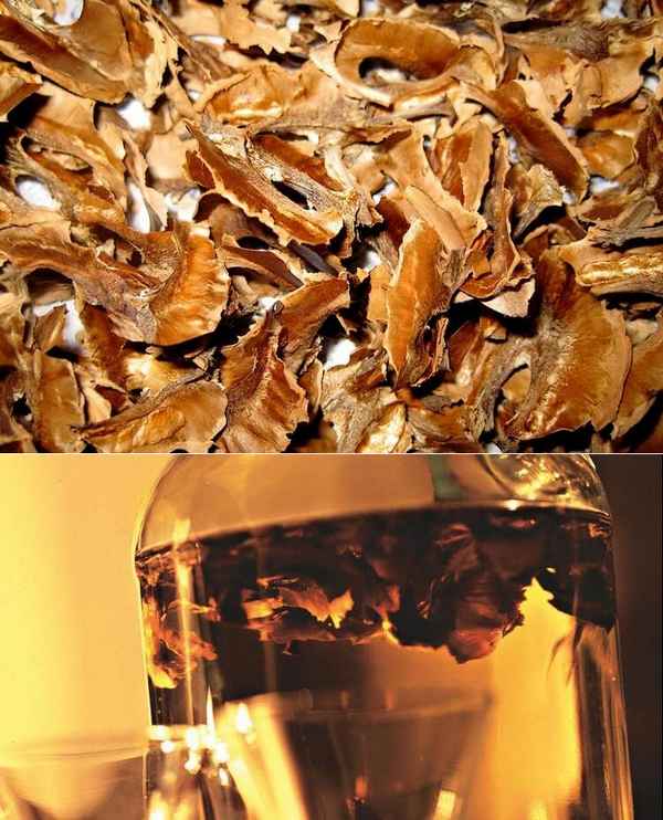 Рецепт приготовления настойки на самогоне и перегородках грецкого ореха