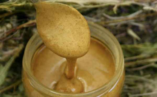 Польза и вред урбеча из абрикосовых косточек