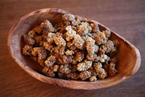 Польза и вред сушёной шелковицы, как засушить и как употрeбллять