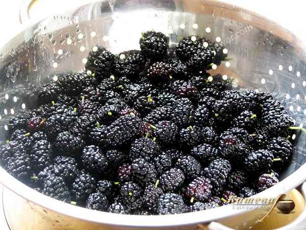 Рецепты приготовления варенья из шелковицы