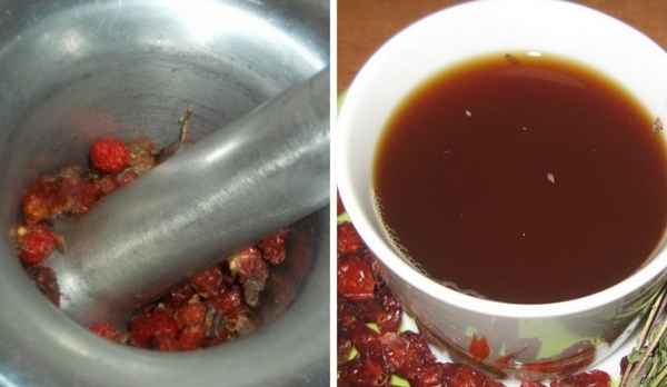 Влияние шиповника на кровь