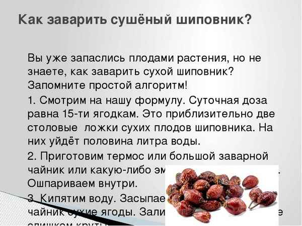 Как пить шиповник правильно