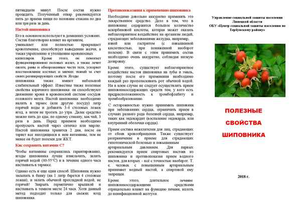 Употрeбление шиповника при диабете: лечебные свойства и противопоказания