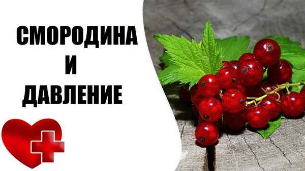Влияние чёрной и красной смородины на артериальное давление