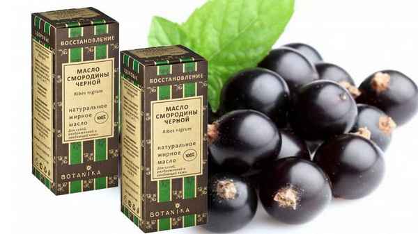 Масло красной и чёрной смородины, свойства, применение