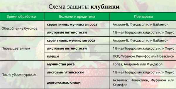 Обработка клубники от вредителей и болезней