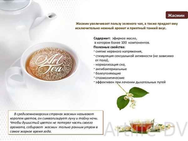 Чем полезен и вреден жасмин для здоровья человека