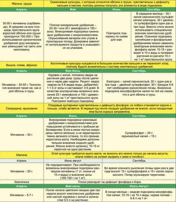 Особенности сезонной подкормки яблонь