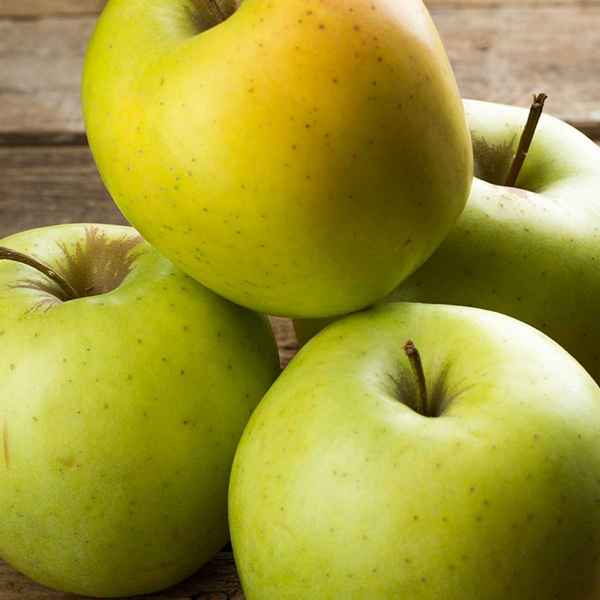 Сколько калорий в яблоках сорта Голден?