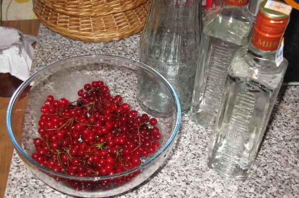 Настойка калины на водке