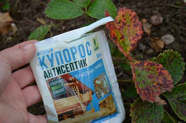 Обработка клубники медным купоросом