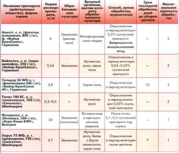 Применение бордоской жидкости при выращивании клубники