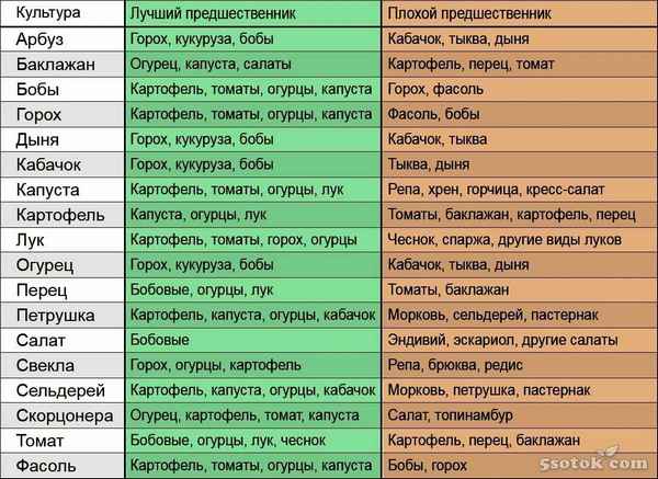 Что посадить после перца на следующий год