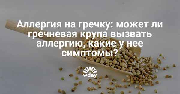 Является ли гречка аллергенным продуктом